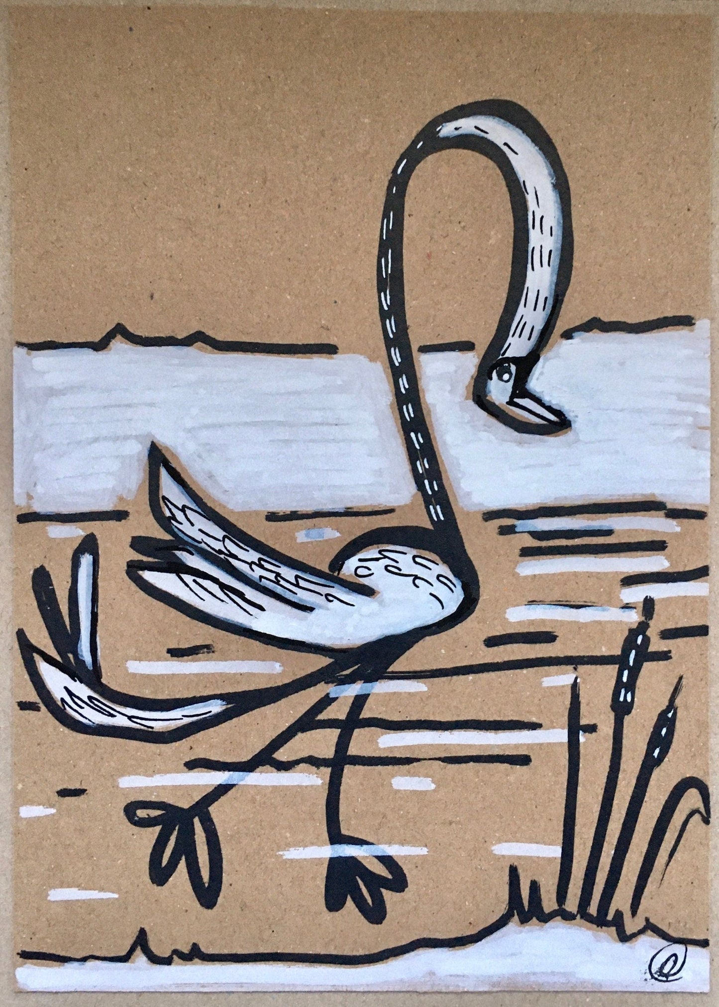 swan bird drawn by artist rebecca carr