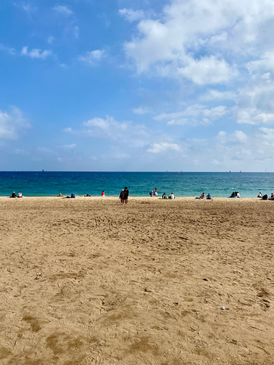 Rebecca Carr artist Barceloneta