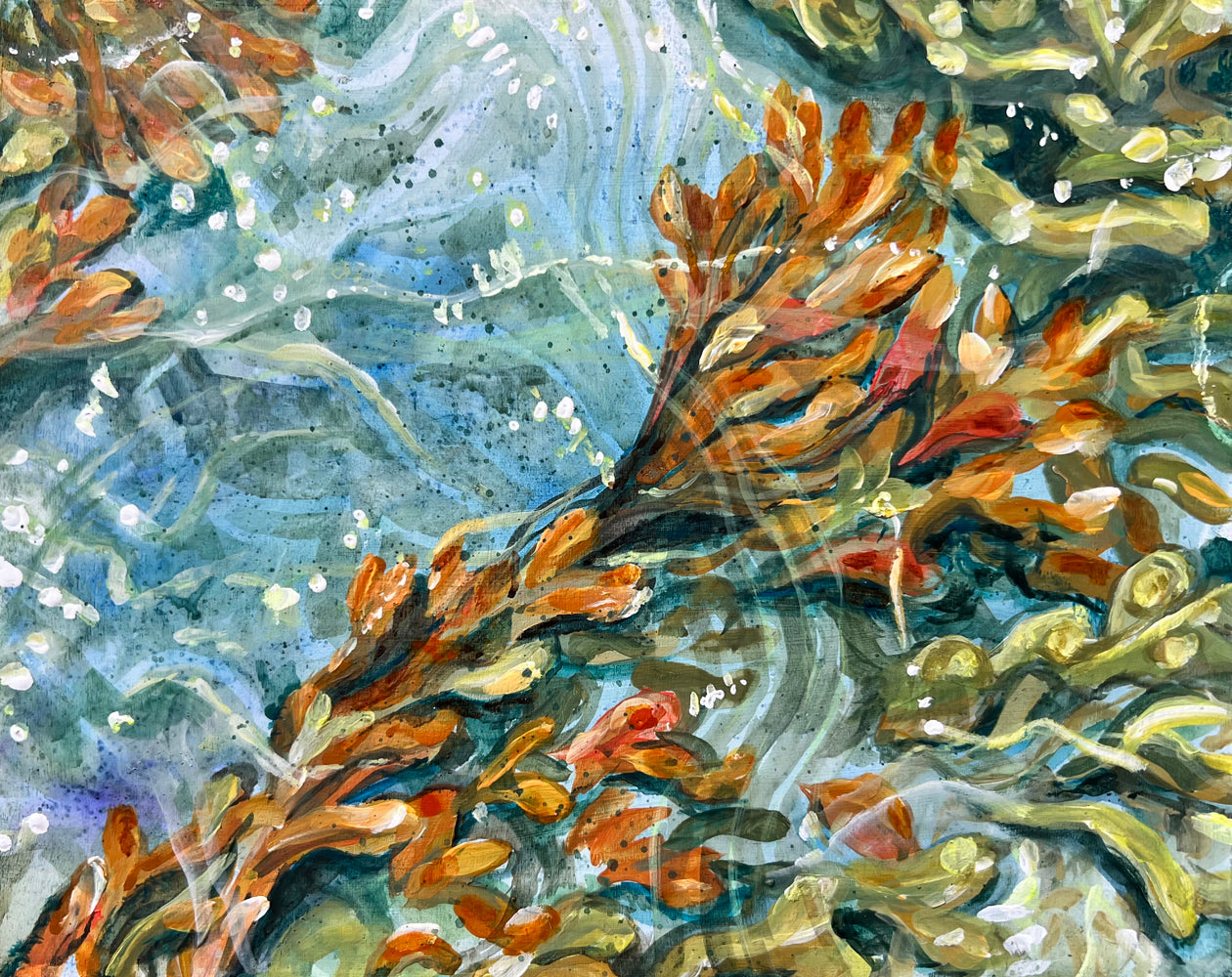 Sun, sand and seaweed