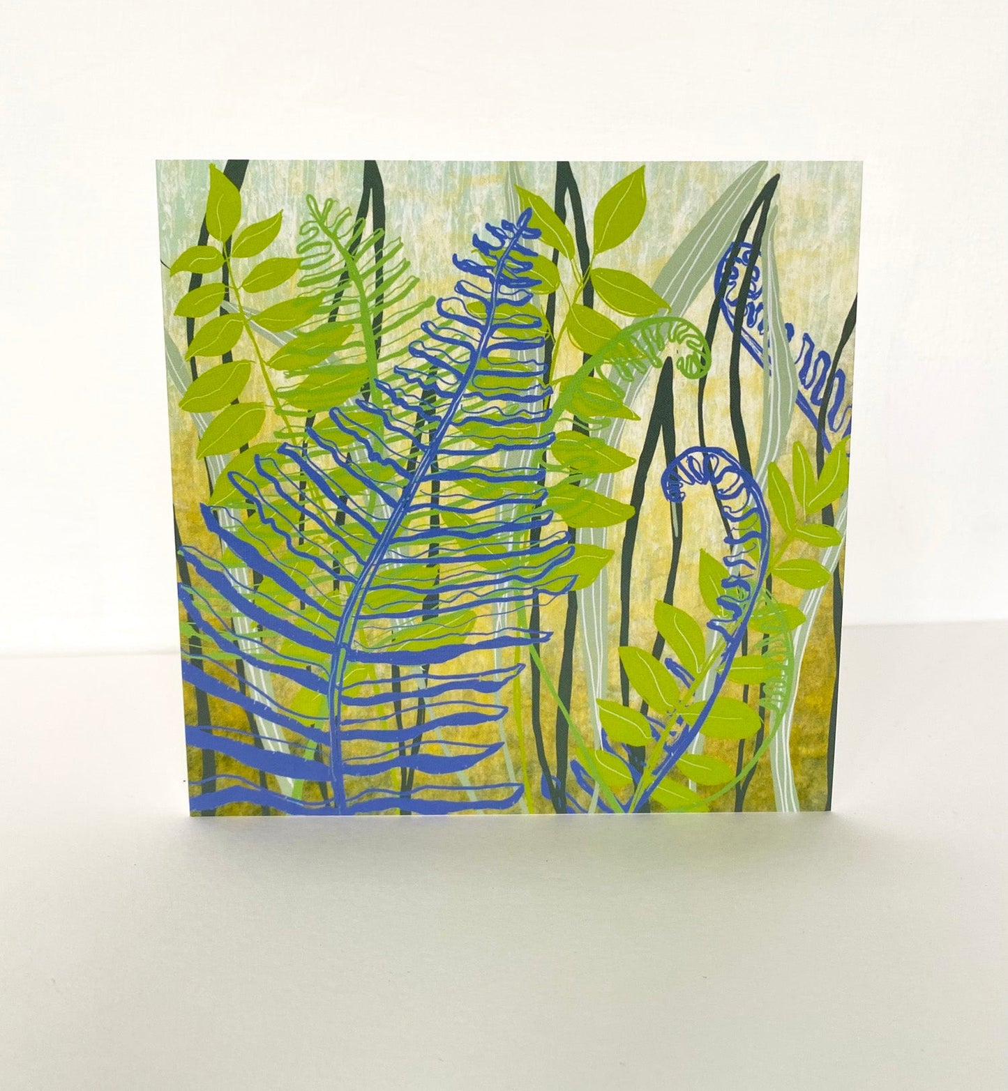 Ferns greetings card - Rebecca Carr Artist